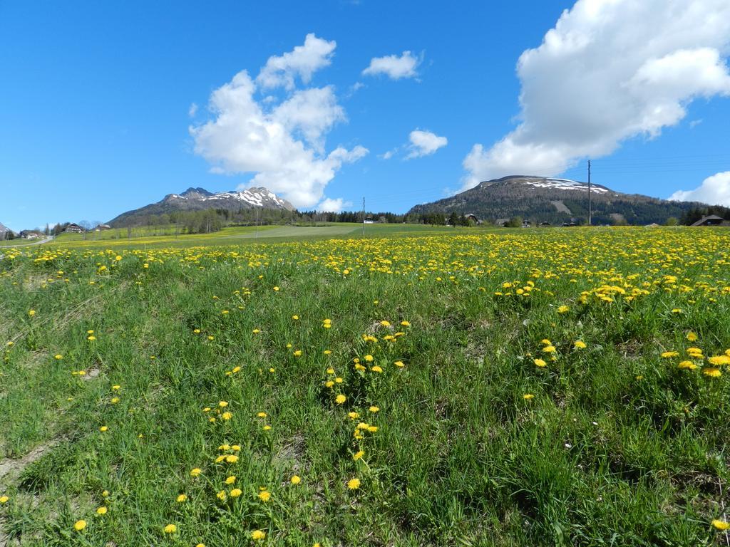 Hotel Zum Granitzl Mariapfarr Dış mekan fotoğraf